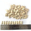 Sementes de abóbora brancas baratas vendem sementes de abóbora para venda